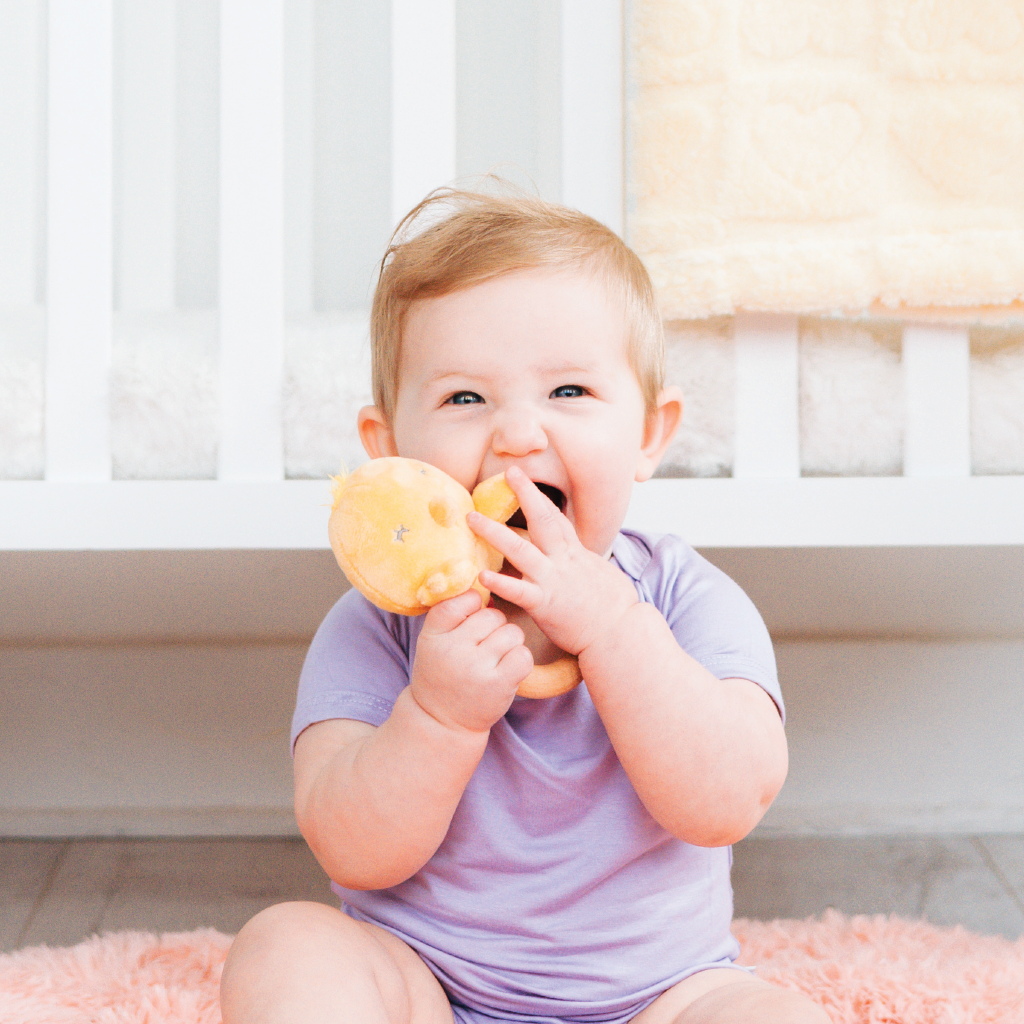 chick plush wooden teether