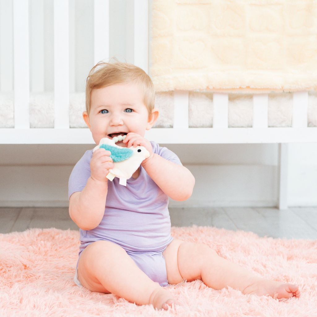 bird silicone crinkle teether