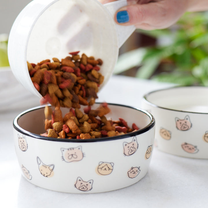 Pusheen cat food fashion bowl