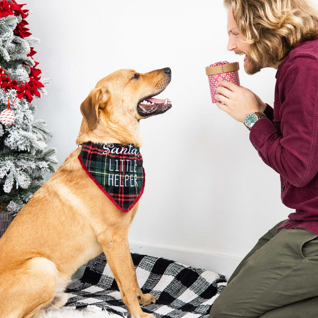 Christmas bandana best sale