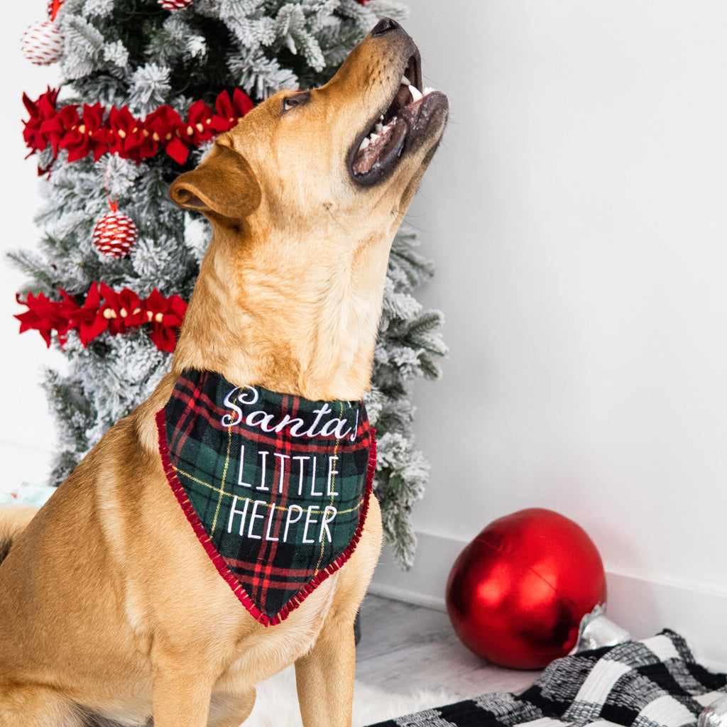 Christmas fashion dog handkerchief