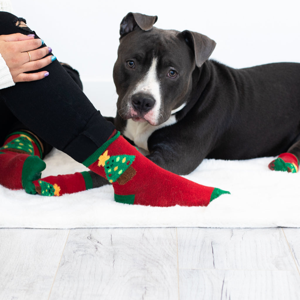 Pet socks for humans best sale