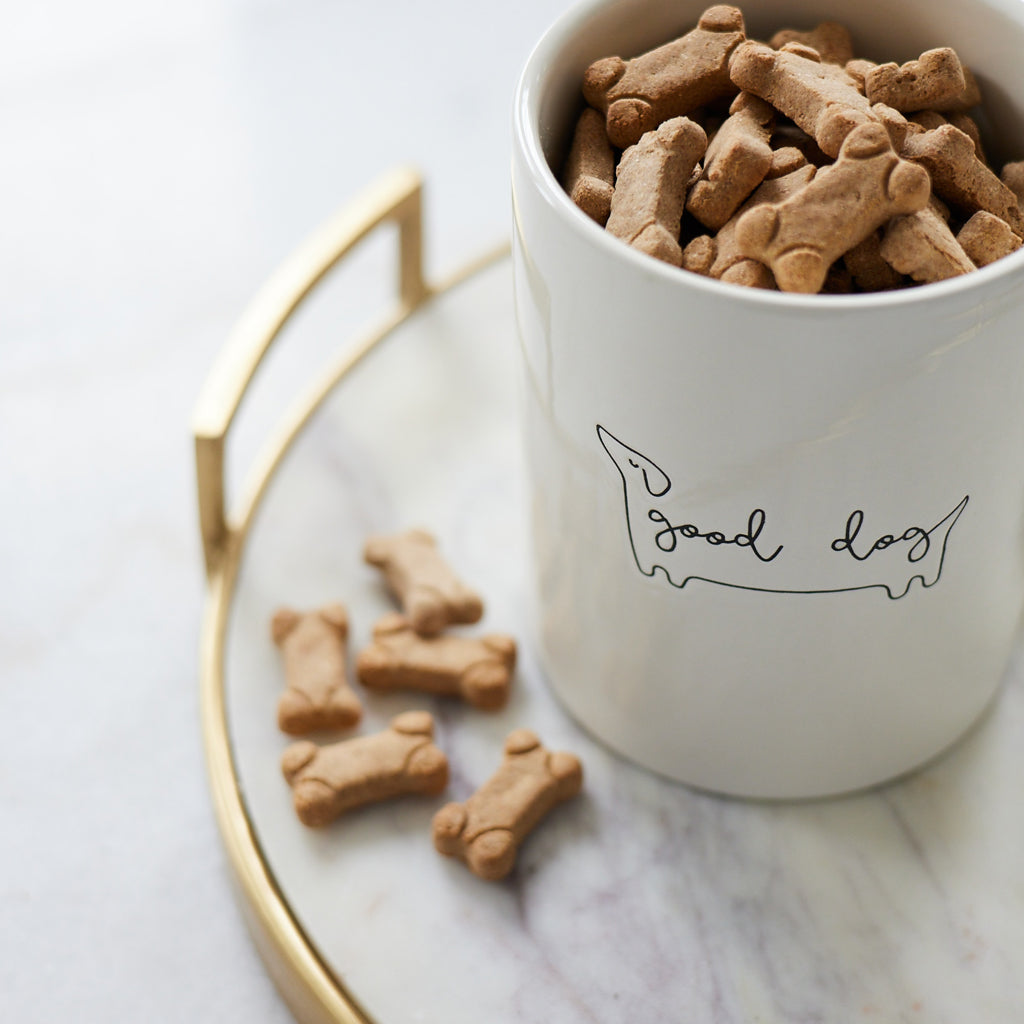 Fashion modern dog treat jar