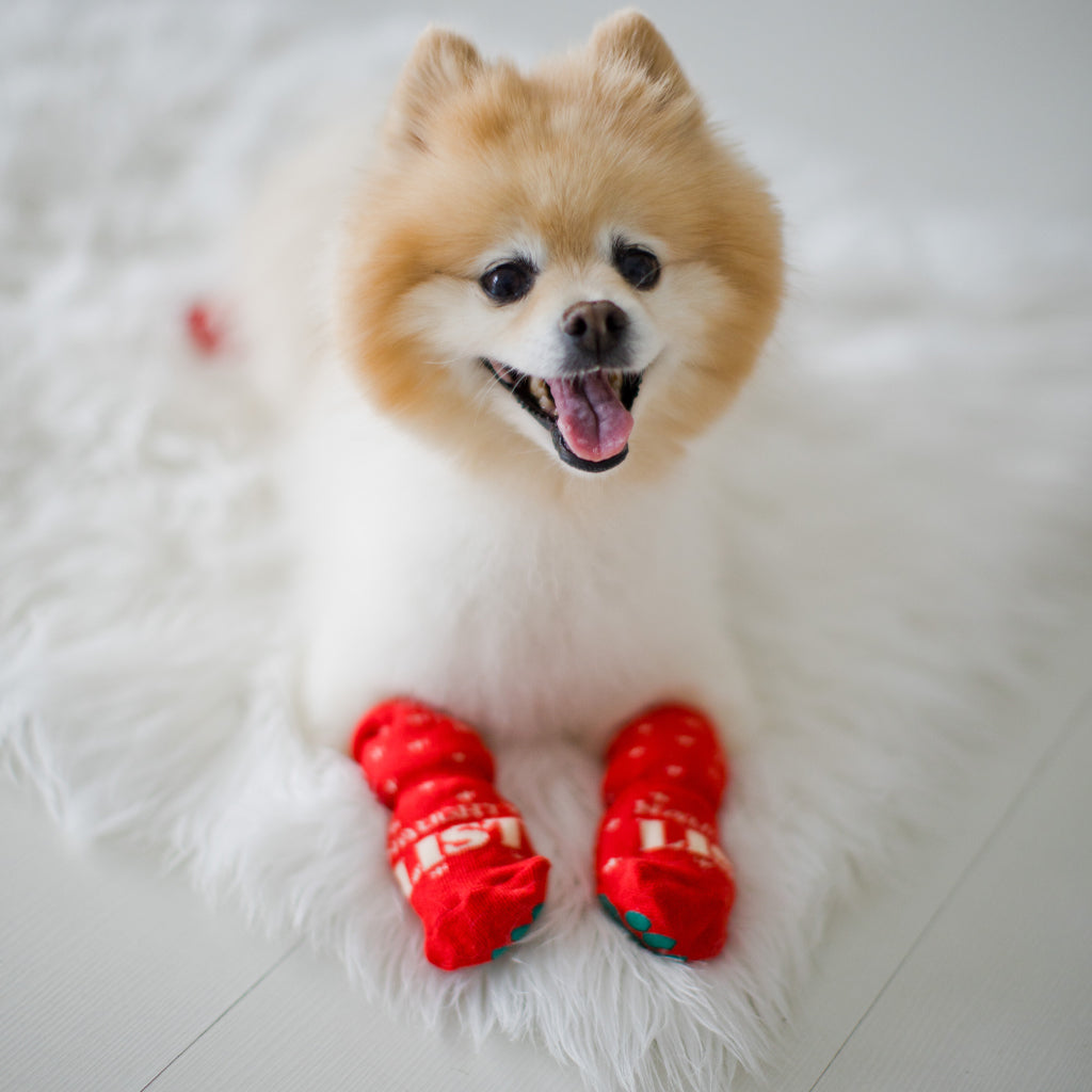 Fluffy dog socks hotsell