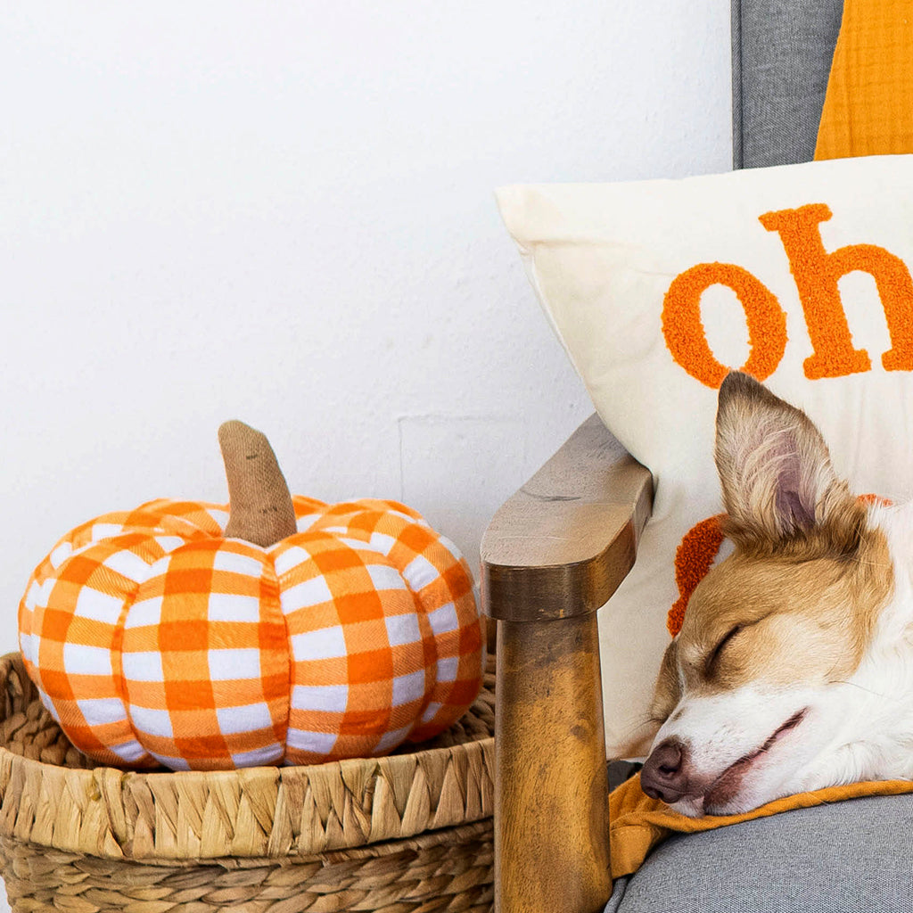 decorative plush pumpkin